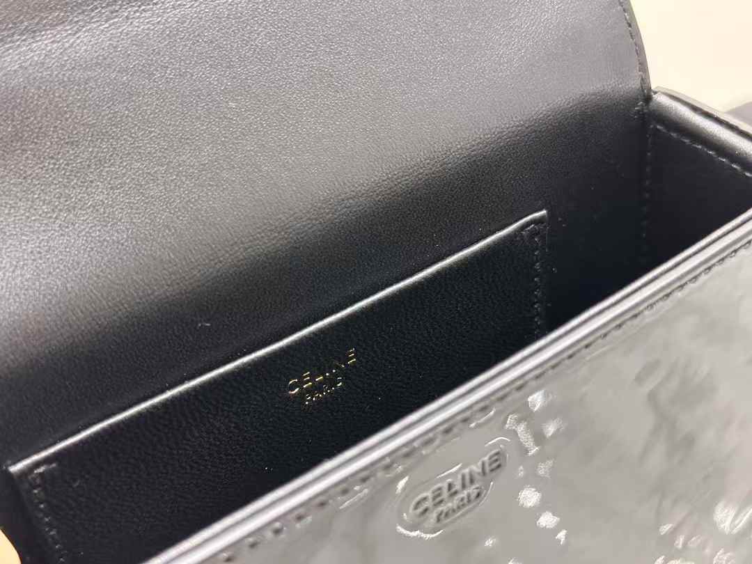 셀린느 블랑딘 블랙 4