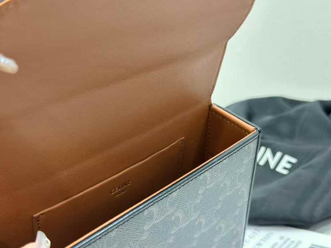 셀린느 블랑딘 캔버스 6